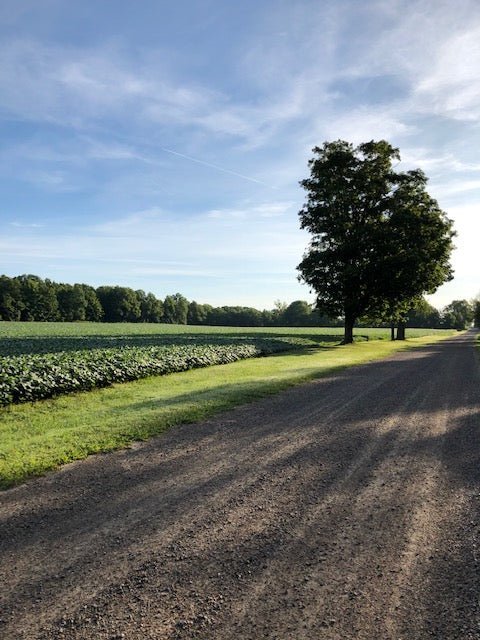 Memories of home | About - Rural Route Seven
