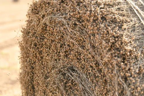 The Healing Power of Linen - Rural Route Seven
